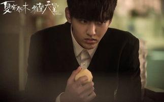 乔木爆料视频在线观看,揭秘幕后真相，带你走进事件核心